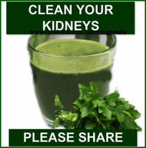Clean  your kidneys